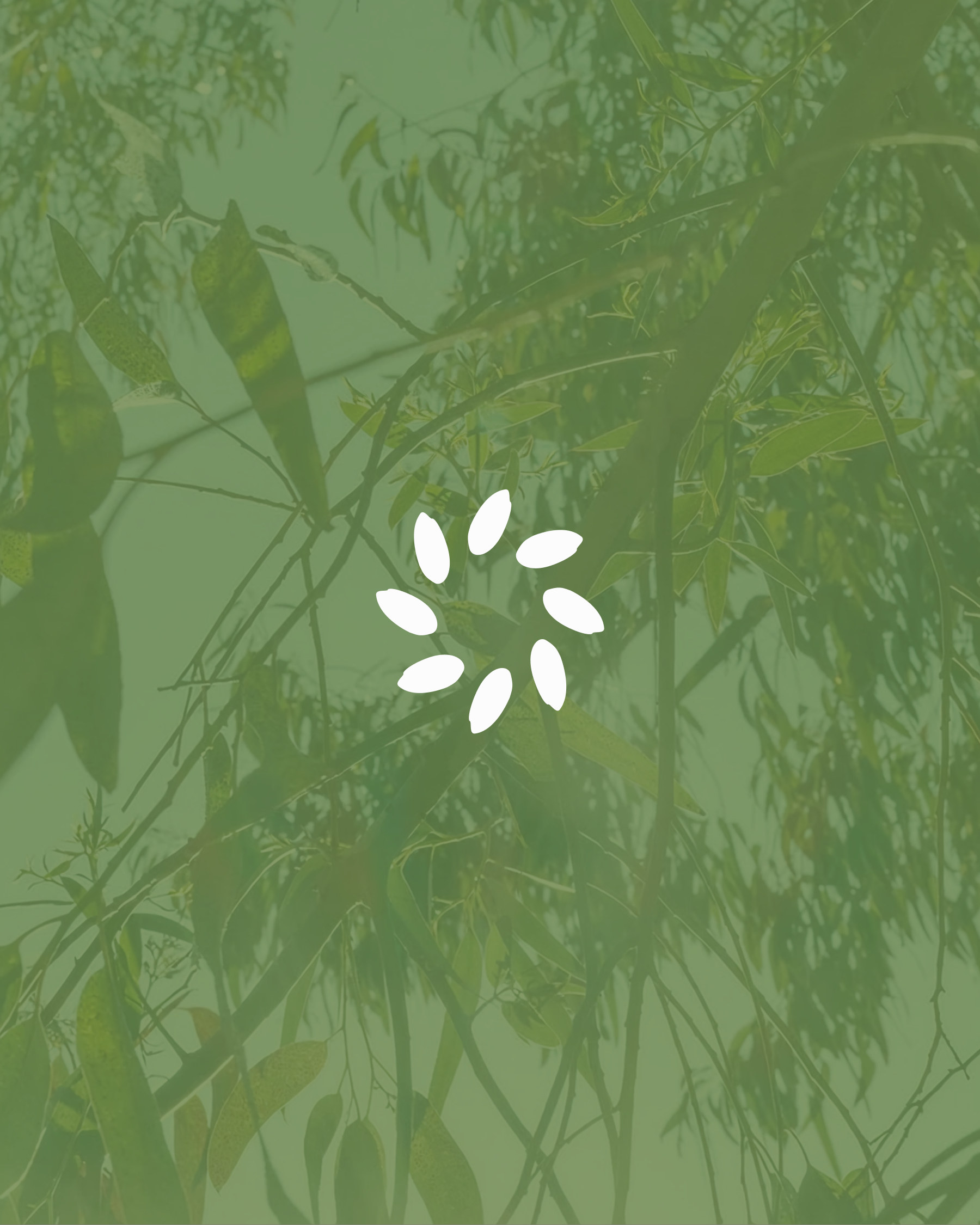SurpRice mark over leaf texture